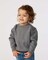 Rabbit Skins Toddler Fleece Long Sleeve Crewneck Sweatshirt - 3317
